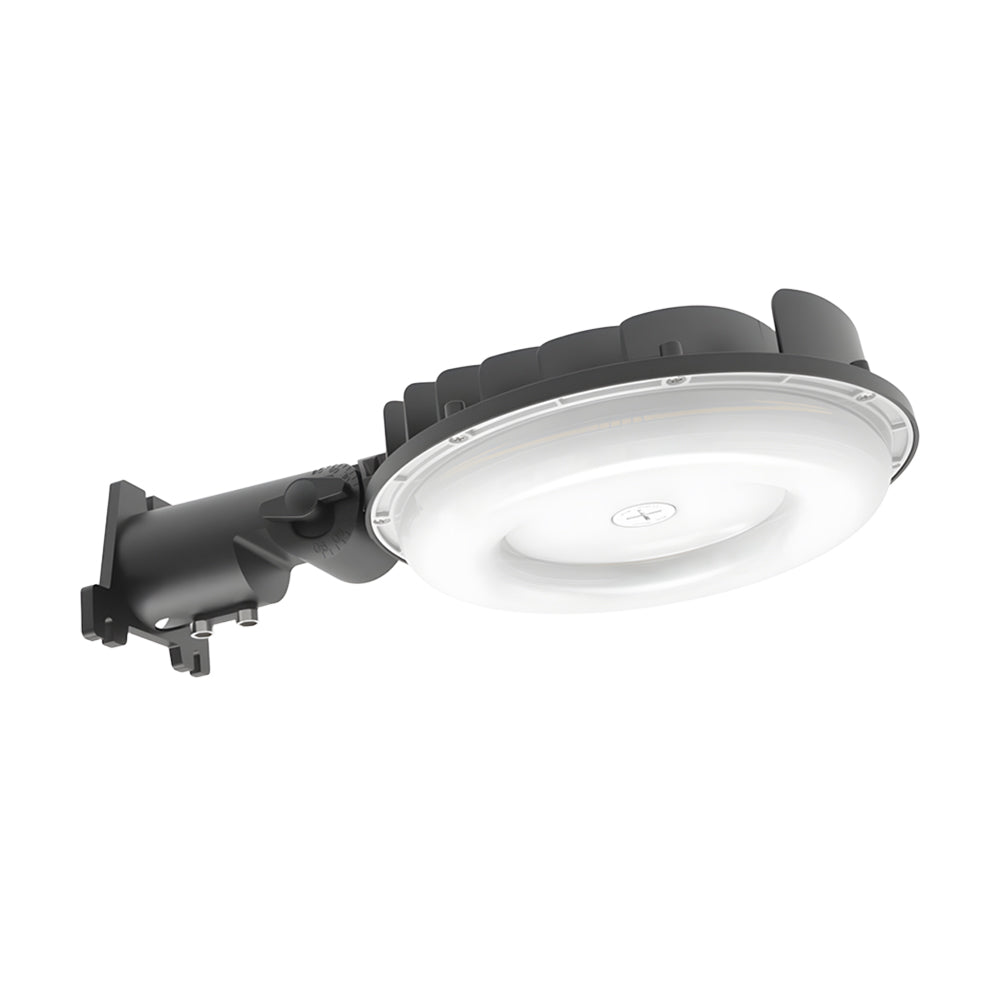 Neuvolt Lighting LED Barn Light