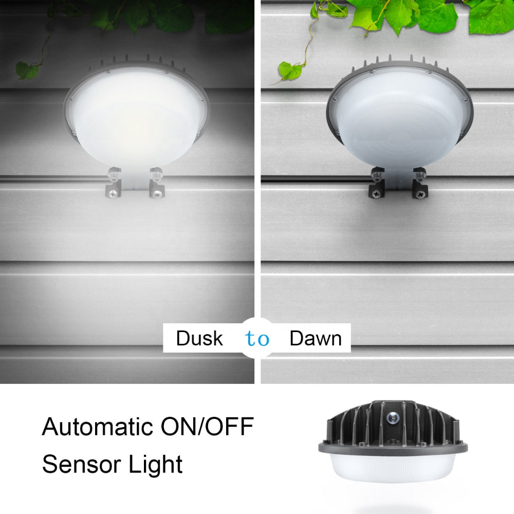 Neuvolt Lighting LED Barn Light