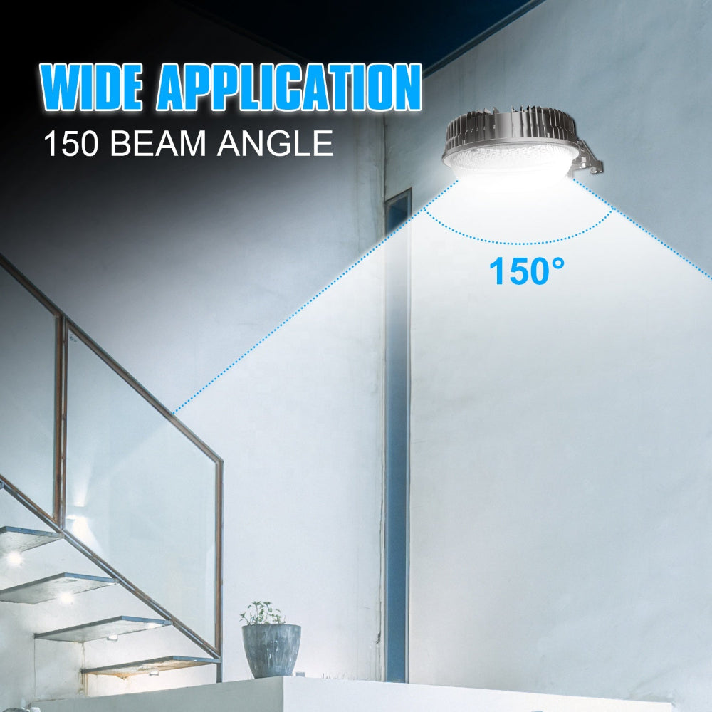 Neuvolt Lighting LED Barn Light