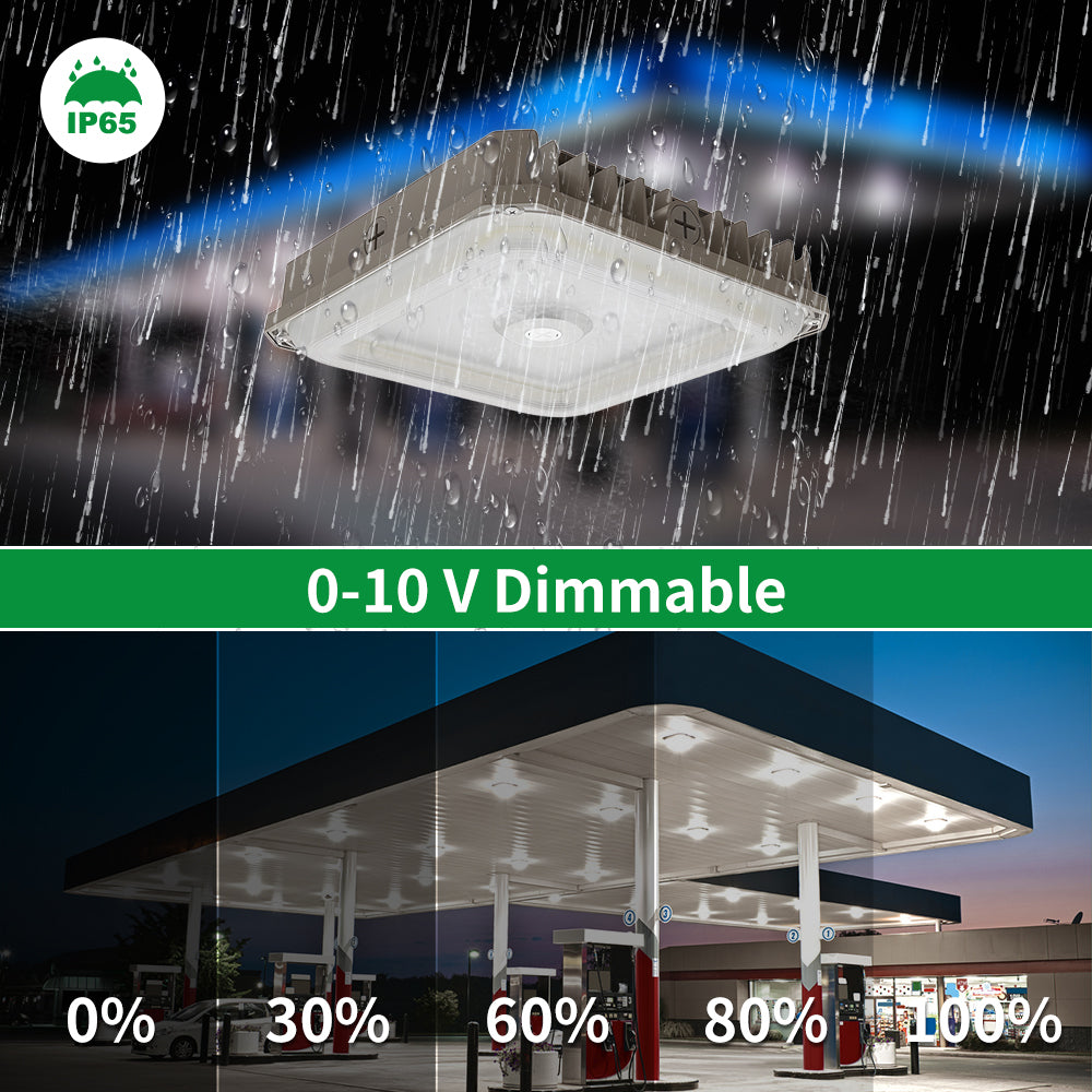 Neuvolt Lighting LED Canopy Light