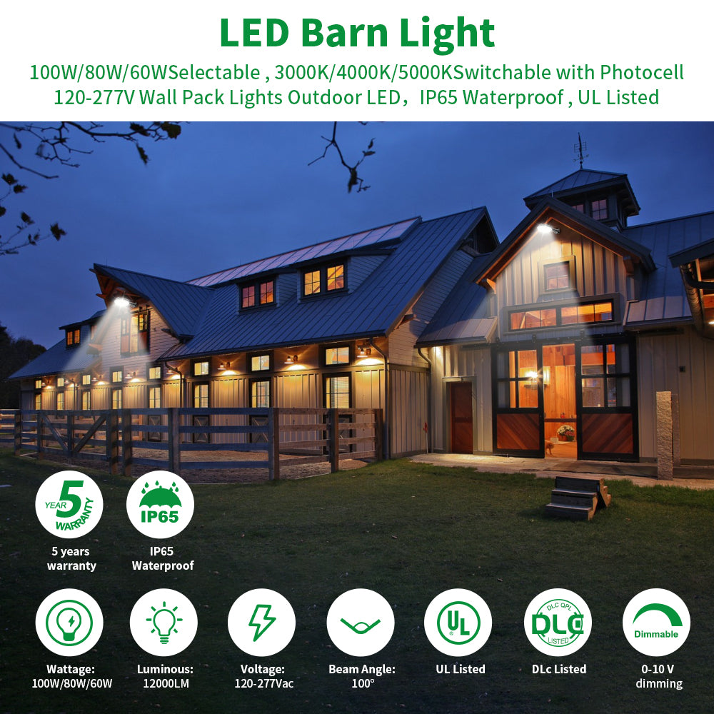 Neuvolt Lighting LED Barn Light