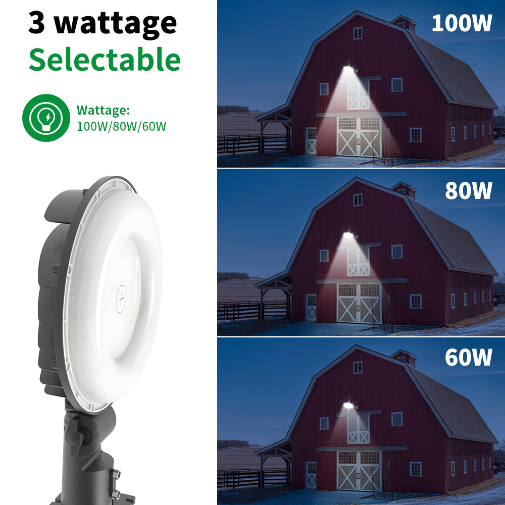 Neuvolt Lighting LED Barn Light
