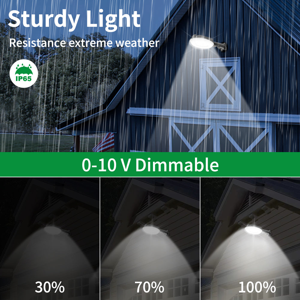 Neuvolt Lighting LED Barn Light