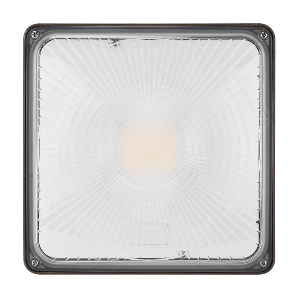 Neuvolt Lighting LED Canopy Light