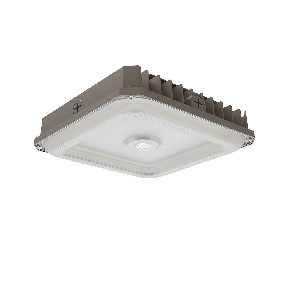 Neuvolt Lighting LED Canopy Light