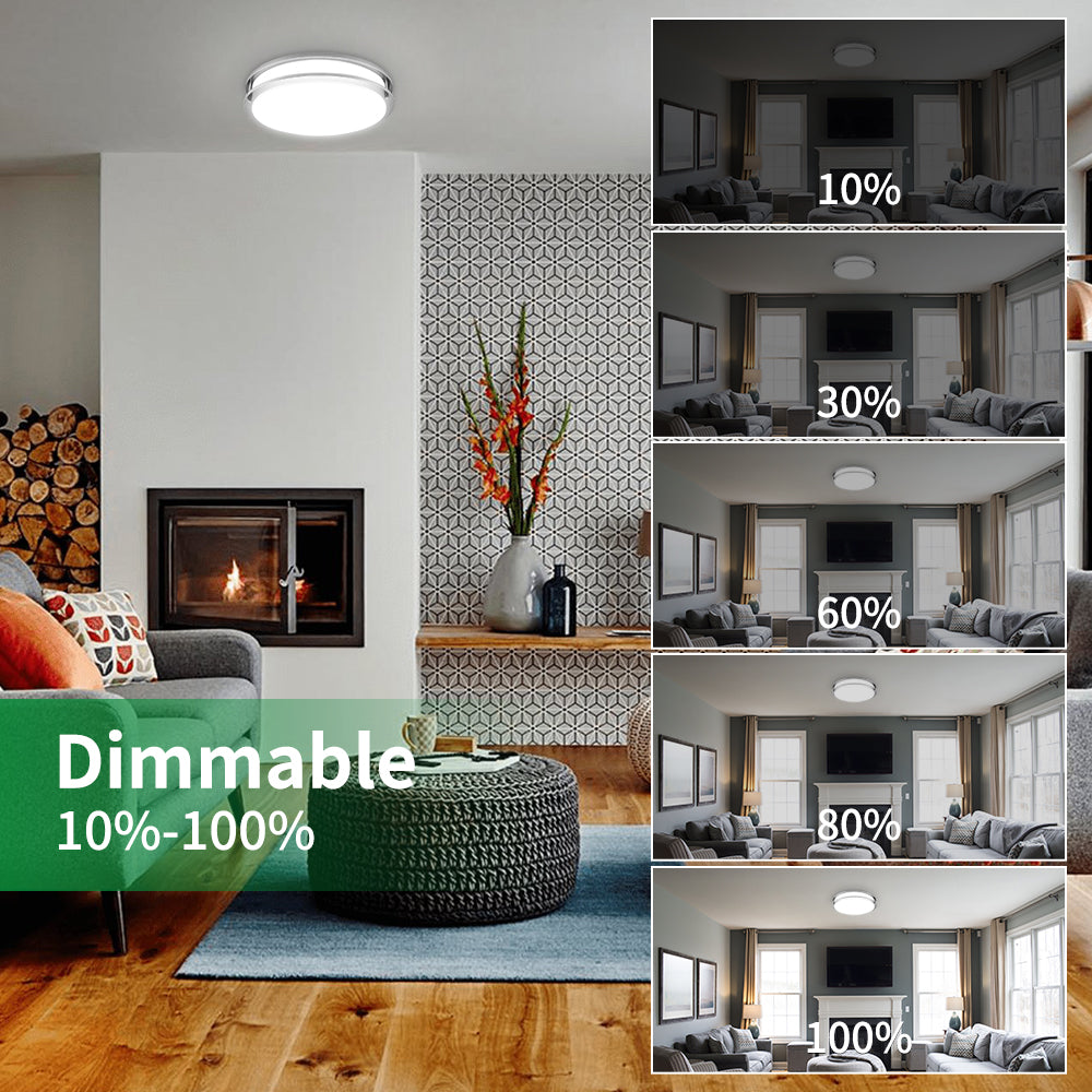 Neuvolt Lighting LED Ceiling Light