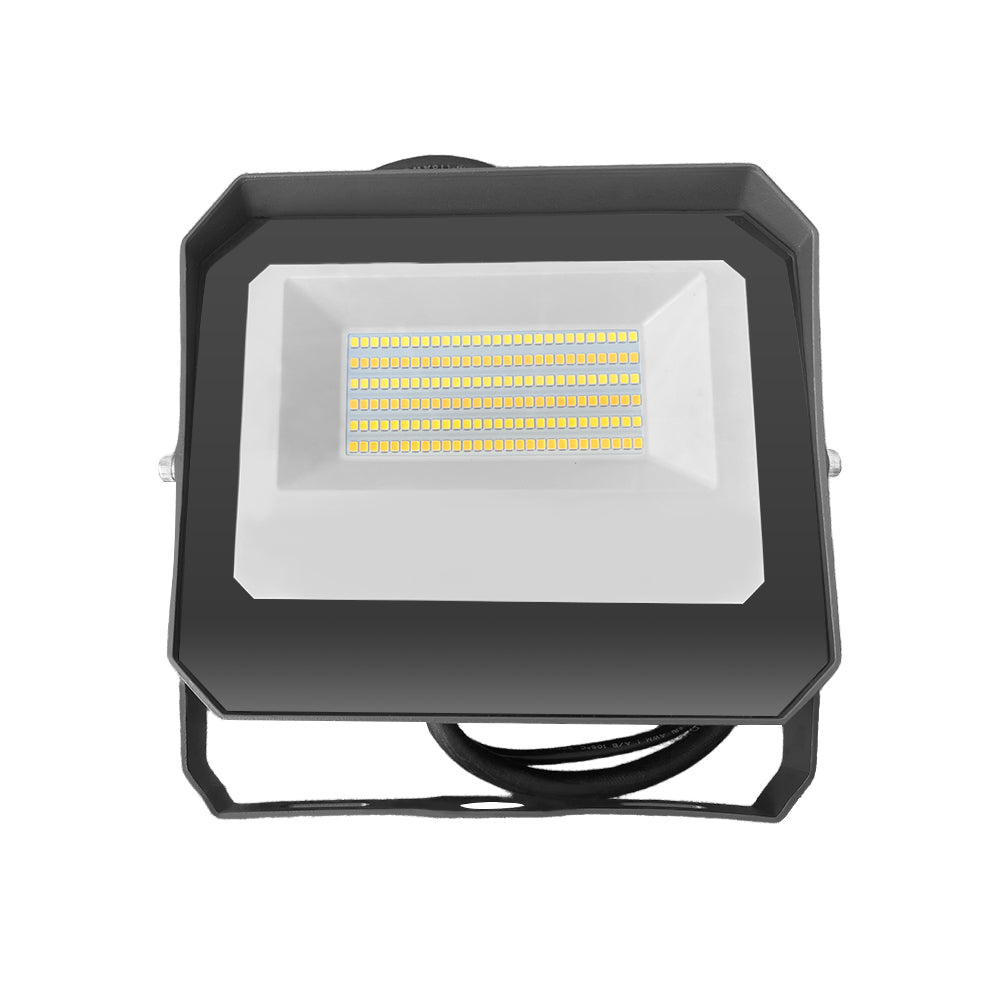 Neuvolt Lighting LED Flood Light